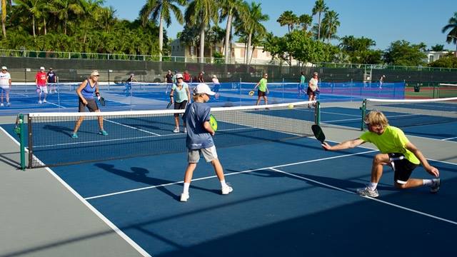 Pickleball Overview | Rules, Scoring System, Court Dimensions etc.
