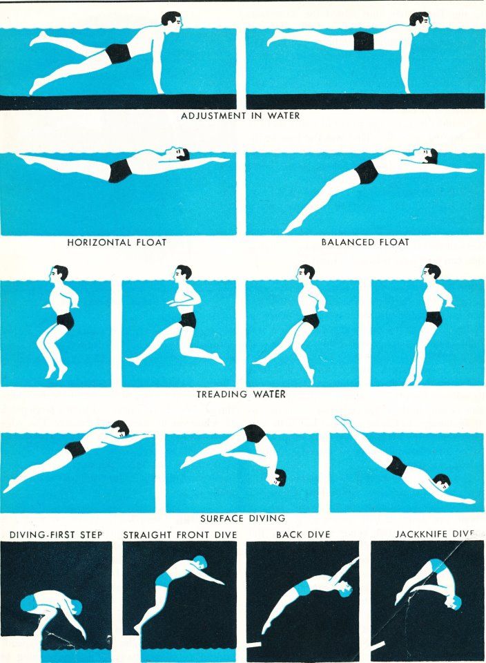 freestyle swimming Infographics