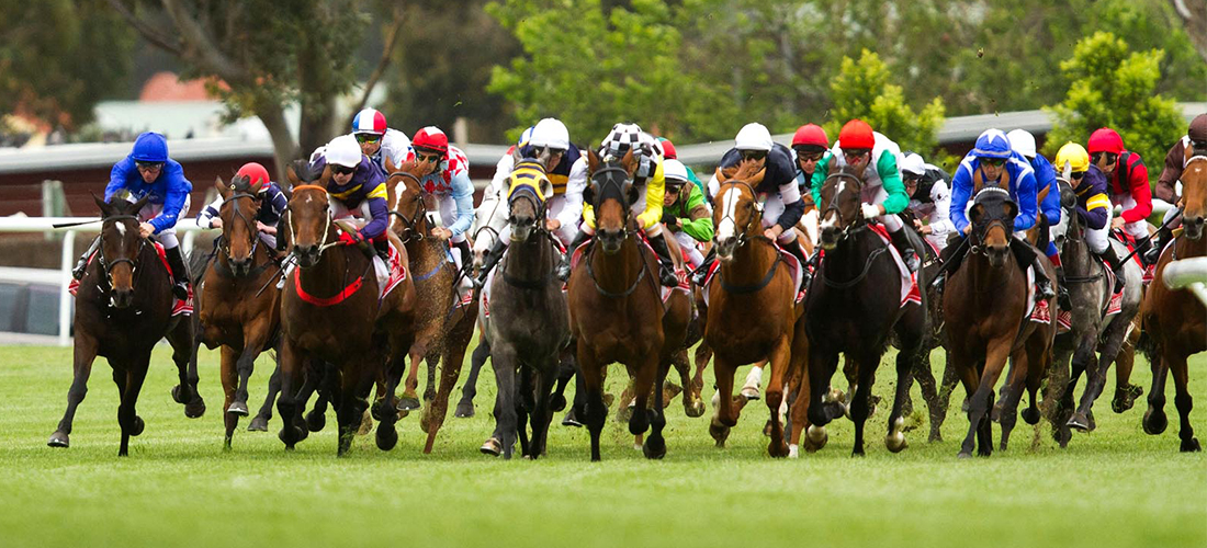 Horses of Melbourne Cup