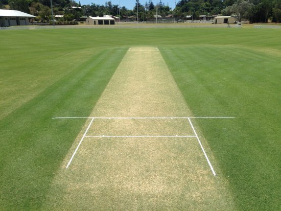 cricket pitch
