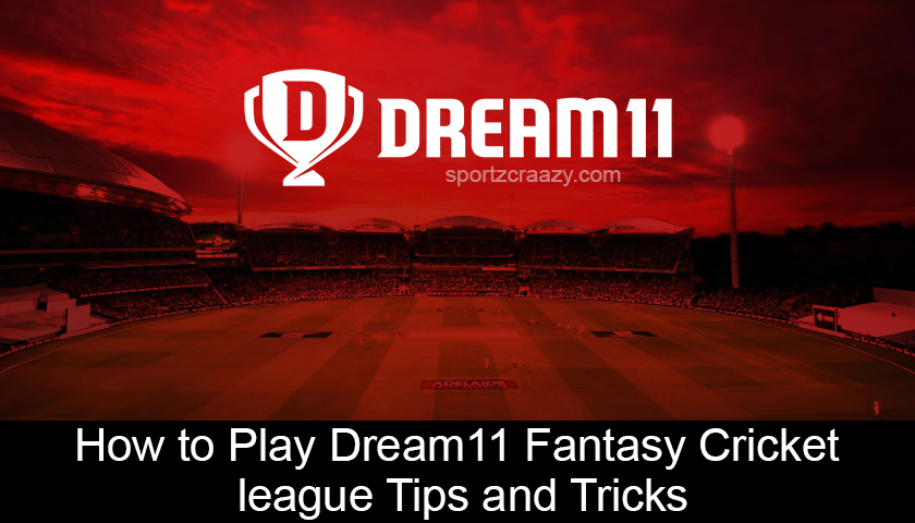 How to Play Dream11 Fantasy Cricket league