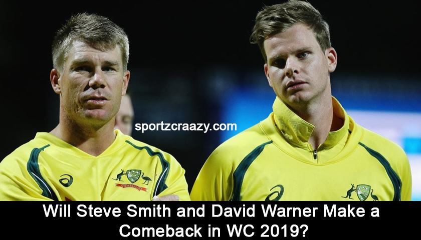 Comeback of Steve Smith and David Warner in WC 2019