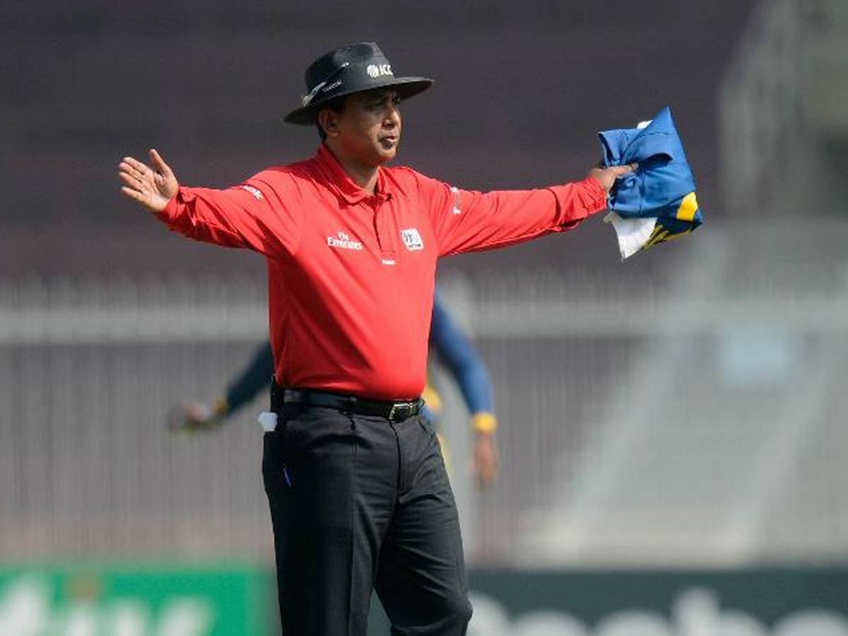 Sundaram Ravi 2019 World Cup Umpires