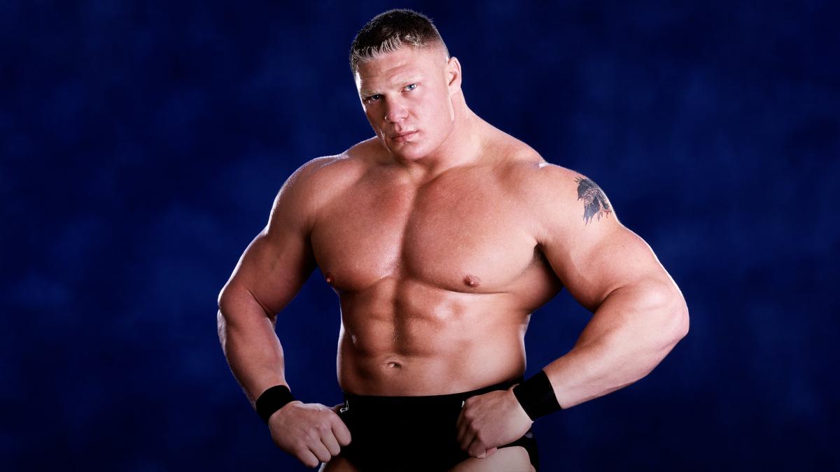 Brock Lesnar Professional Life
