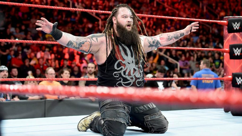 Bray Wyatt Professional Life